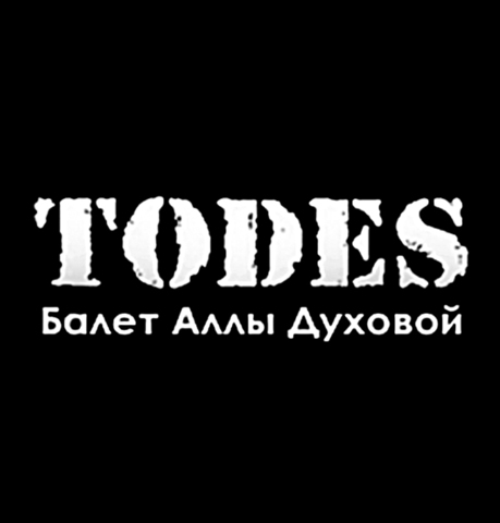 Доставили наши мобильные зеркала в TODES