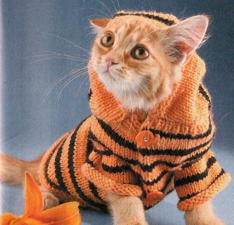 Кошка спицами на свитере