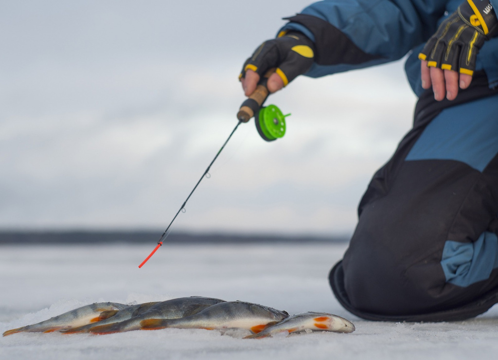 Зимние снасти для ловли на балду