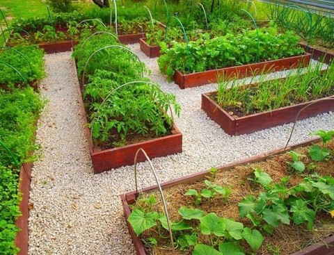 Как сделать аккуратные садовые дорожки без серьезных затрат?