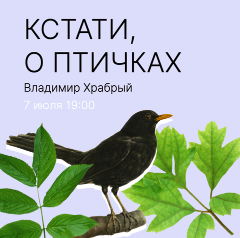 Птицы европейской части России