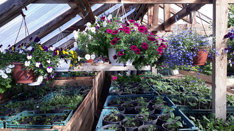 Специальные цены для оптовых покупателей