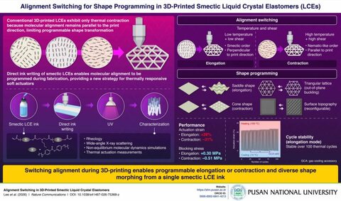 Жидкокристаллические эластомеры в 3D-печати: скорость и температура задают направление деформации