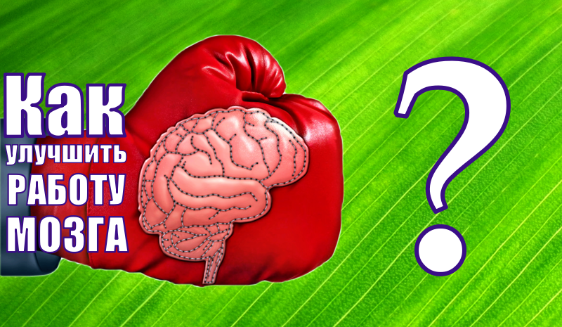 Как улучшить работу мозга при сидячей работе или учёбе Как улучшить работу мозга при сидячей работе или учёбе