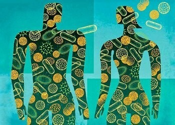 Микробиом кожи: “живой щит”