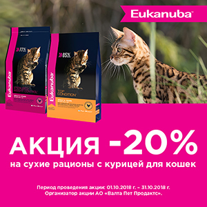 20% скидка на сухой корм EUKANUBA для кошек / ЗАВЕРШЕНА