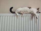 Радиаторы отопления - какие лучше для частного дома