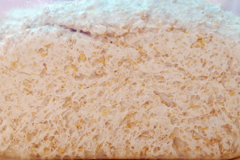 Подошло!!! (как понять, подошло ли тесто)