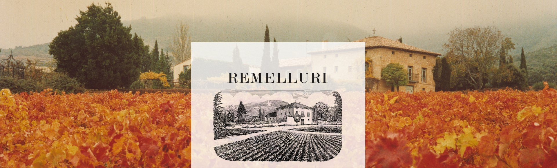Bodegas Remelluri