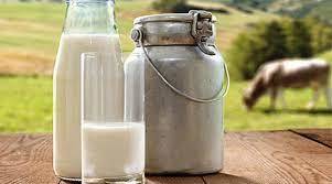 Секреты пастеризации молока в домашних условиях