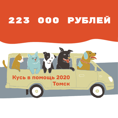 Кусь в помощь 2020/ Помогаем приюту в Томске