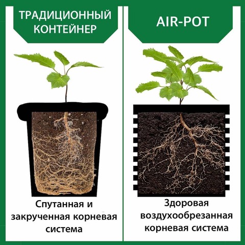 СИСТЕМА AIR POT: комплексный анализ инновационной технологии