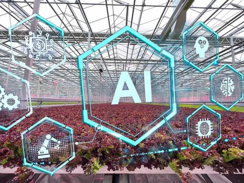 Цифровизация питомниководства: интернет вещей и искусственный интеллект на службе растениеводства.