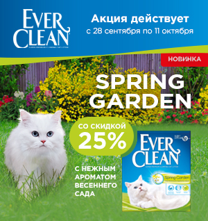 Скидка до 25% на наполнители Ever Clean / ЗАВЕРШЕНА