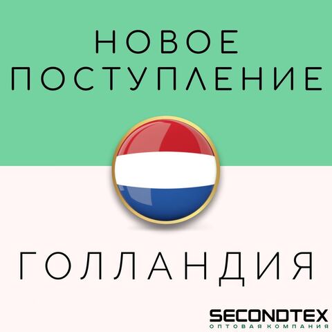 Большое поступление из Голландии