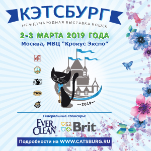 Выставка кошек «КЭТСБУРГ-2019»