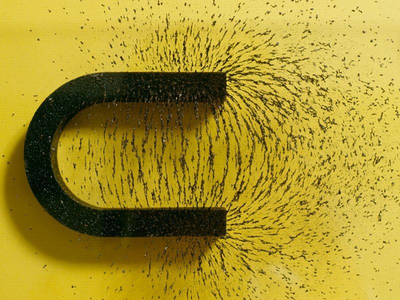 Австралийский изобреталель поплатился за глупые опыты с магнитом Австралийский изобреталель поплатился за глупые опыты с магнитом