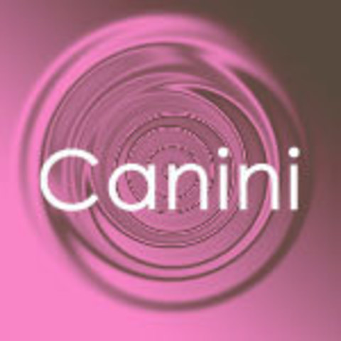 Canini