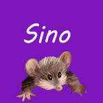 Sino