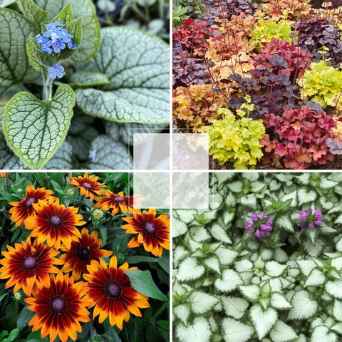 Собственное производство