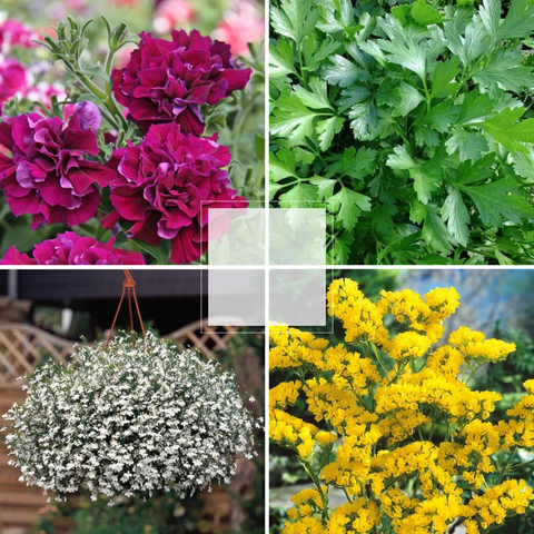 Сезонный материал