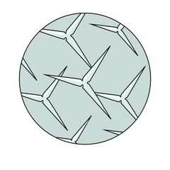 Микроиглы (спикулы)