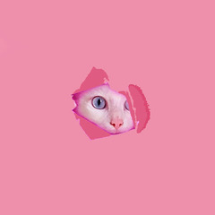s.jpg