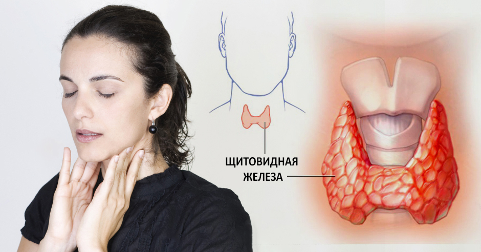 Щитовидная железа: нарушения функции