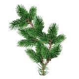 Ветки для уличных елок изображение