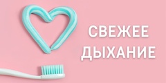 SvezhDih.jpg