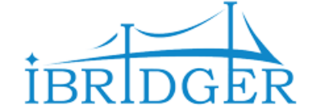 Лого IBRIDGER