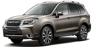 Subaru Forester SJ  2016-2018 (рейстайл)