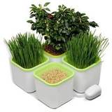 Автоматические проращиватели семян