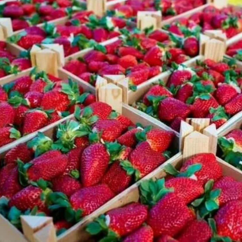 Тара для фруктов и овощей