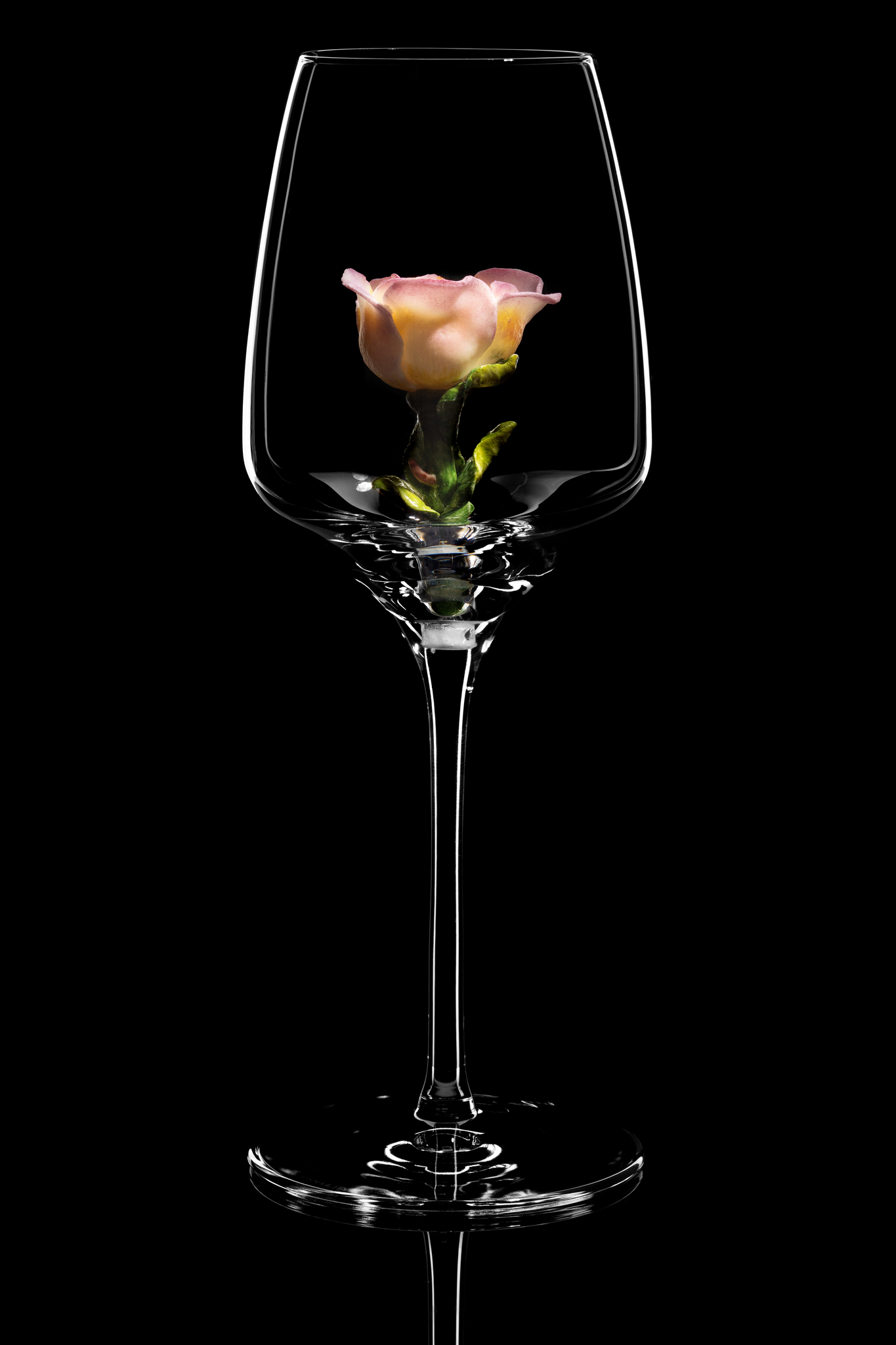 Нежные Розы | bokal-shop.ru