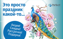 Perfect_Akcii688x430.jpg