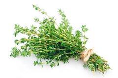 Купить семена тимьяна в упаковке Мини-проф (фольгированный пакет от ...