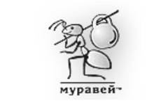 Муравей