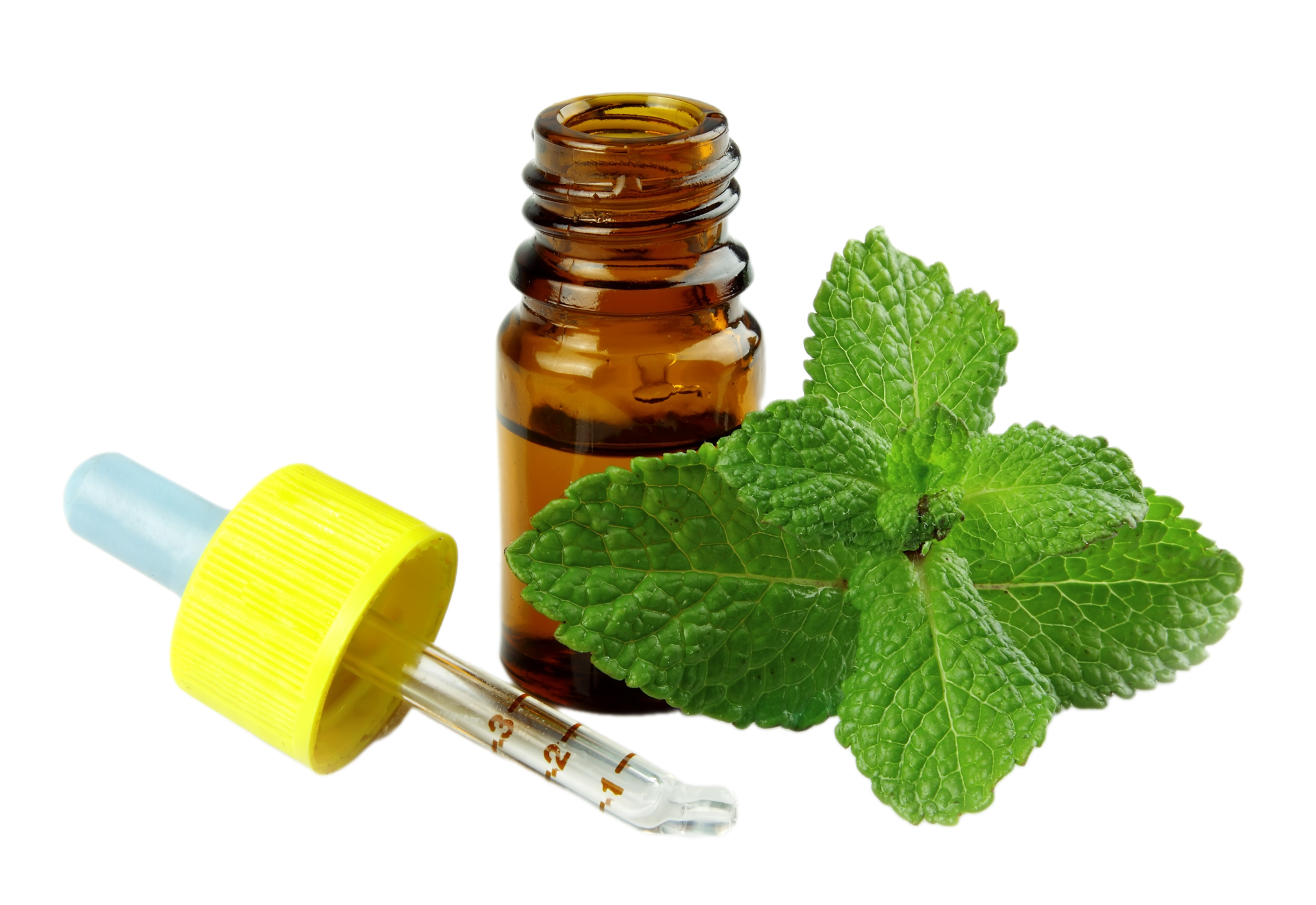 Мятая масла. Эфирное масло мяты перечной. Mentha piperita Essential Oil. Мята перечная масло. Peppermint эфирное масло.