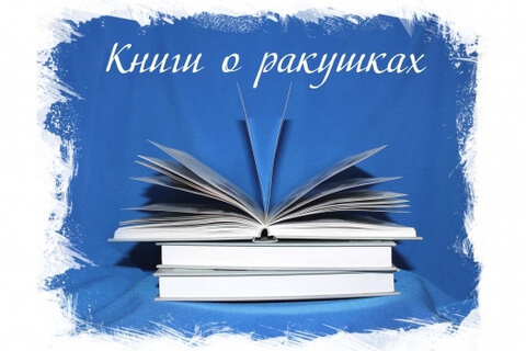 Интернет-магазин морских ракушек и декора Мир Ракушек