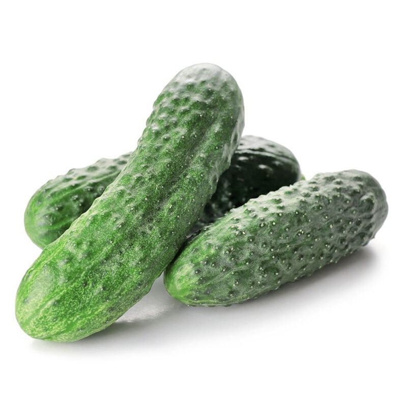 Огурец | alex-agro.com