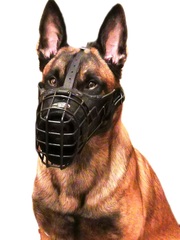 Намордники