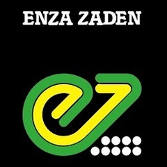 Enza Zaden