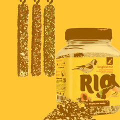 Лакомства для птиц