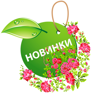 НОВИНКИ