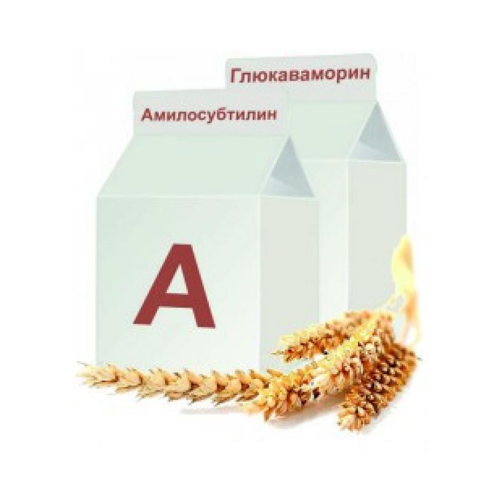 Ферменты – купить в интернет-магазине по лучшей цене