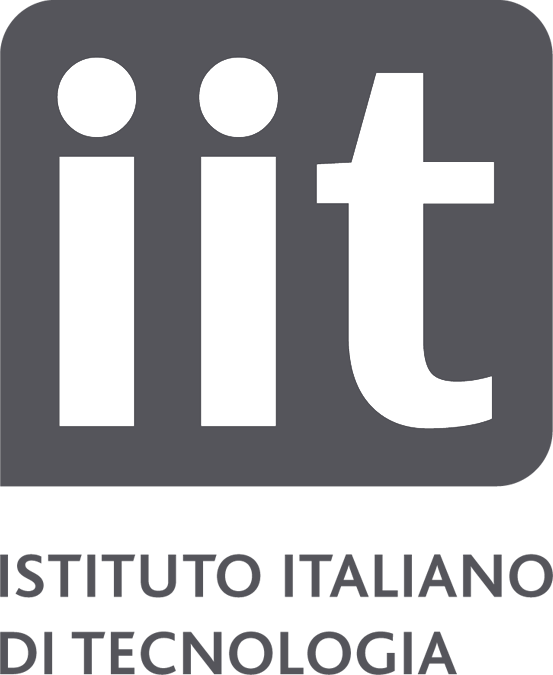 Italian Institute of Technology (IIT)