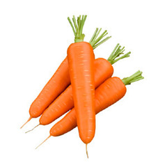 Семена моркови в мелкой фасовке