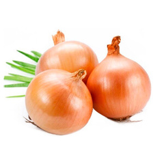 Семена лука в мелкой фасовке