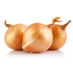 Семена озимого репчатого лука в мелкой фасовке